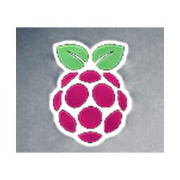 Raspberry Pi Nodes logo
